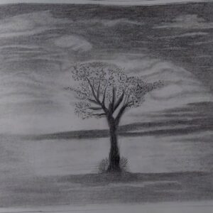charcoal drawing landscape