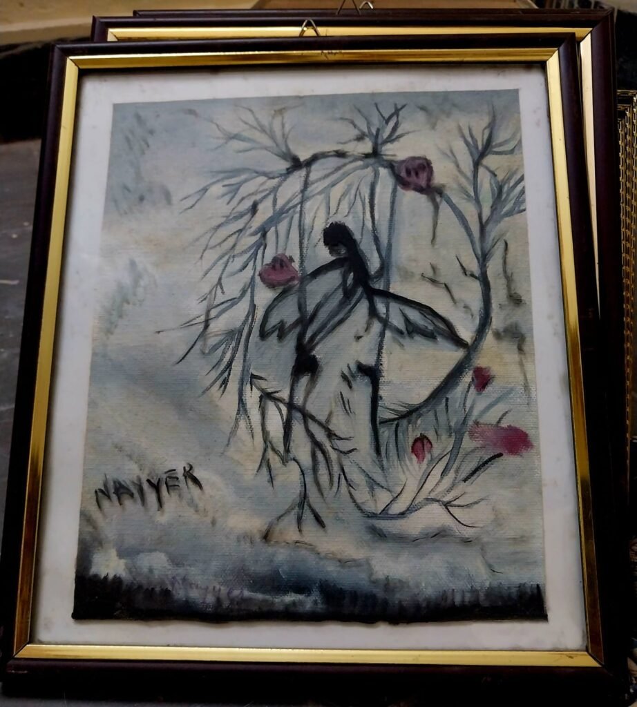 fairy, medium oil